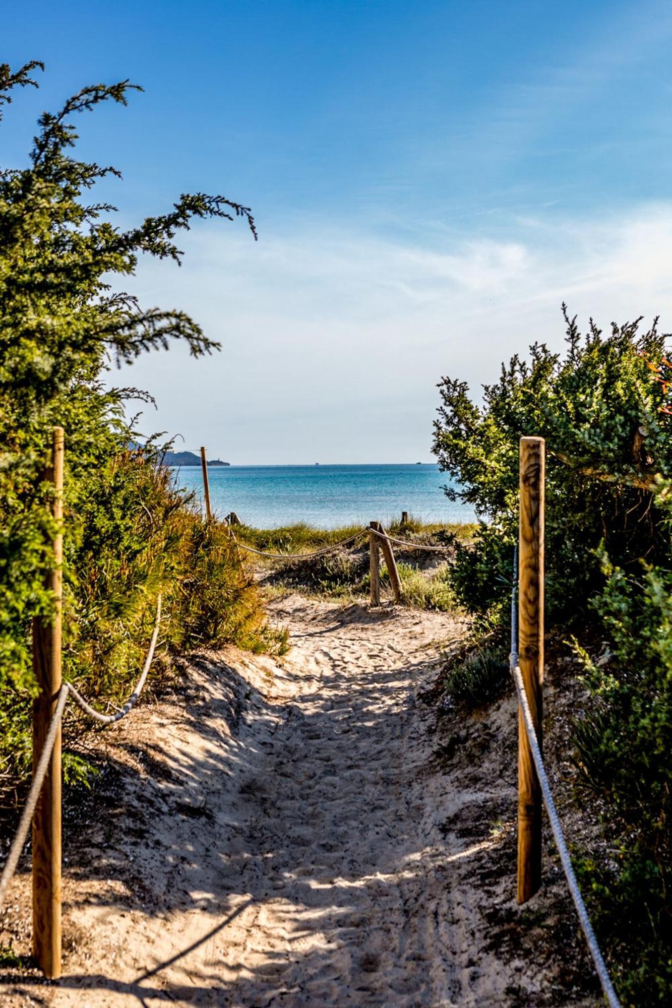 Grupotel Parc Natural&Spa Playa de Muro  Exterior foto View of Lake Michigan from the dunes at the Indiana Dunes National Park